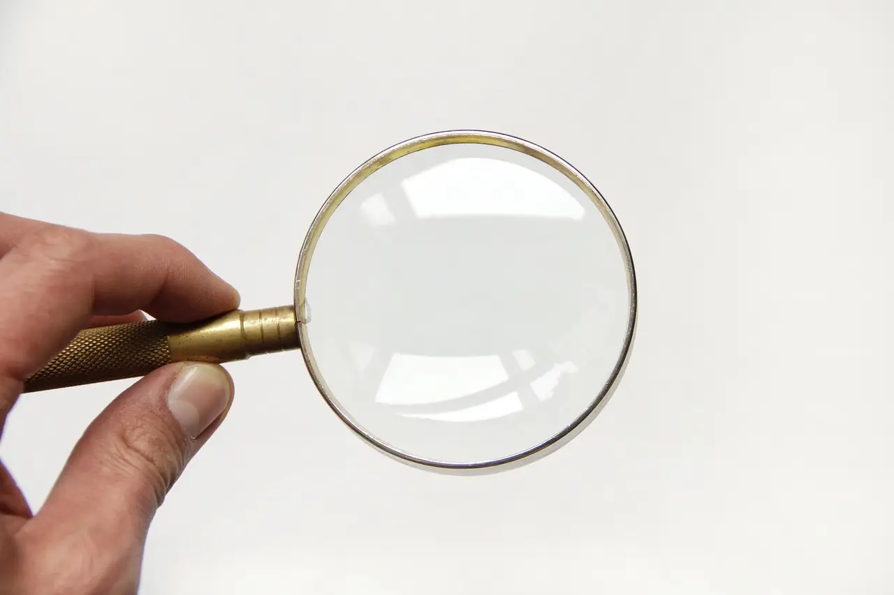 magnifier, glass, magnifying glass, magnifying, search, look, lens, magnify, find, enlarge, zoom, magnification, optical, focus, tool, looking, loupe, hand, white, isolated, search, magnify, magnify, magnify, magnify, magnify